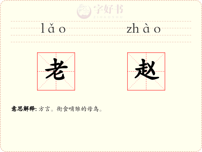 老赵