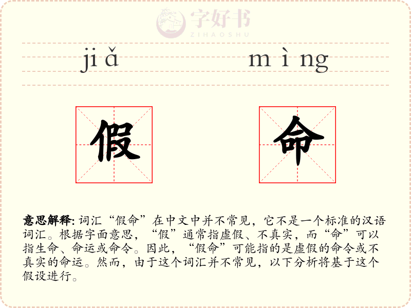 假命