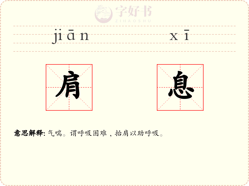 肩息