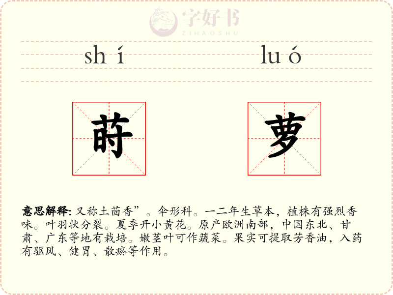 莳萝