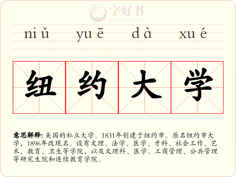 纽约大学