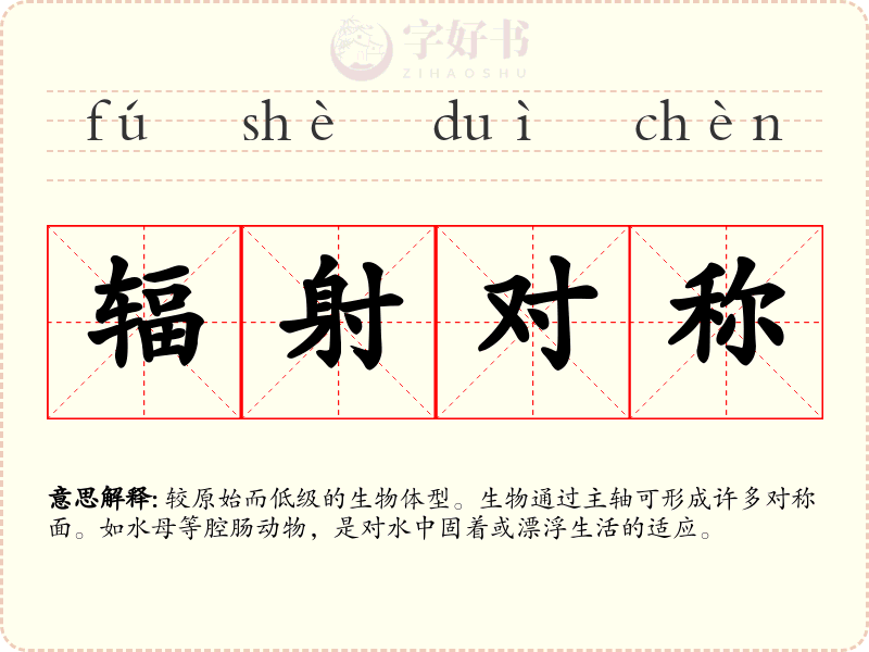 辐射对称