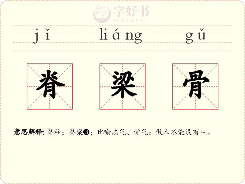 脊梁骨