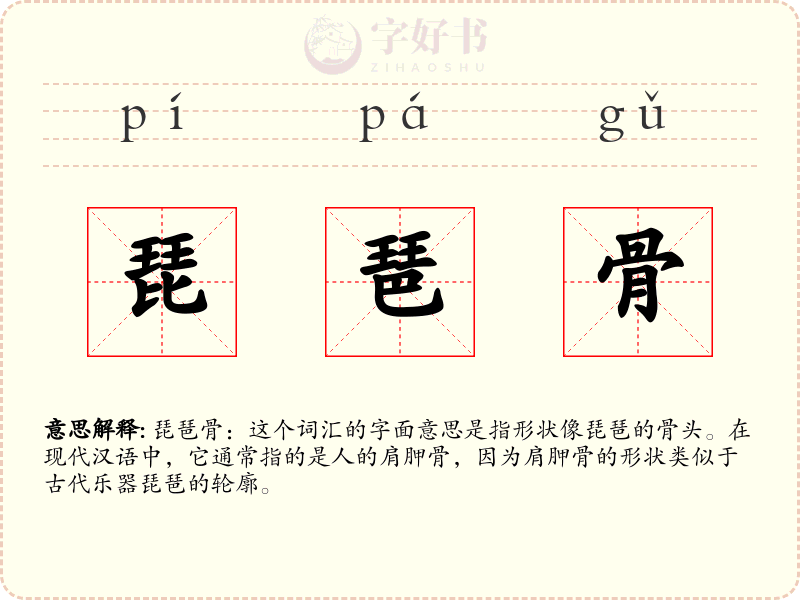 琵琶骨