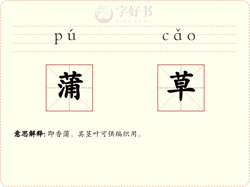 蒲草