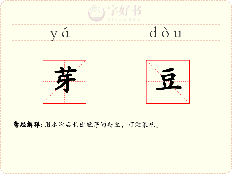 芽豆