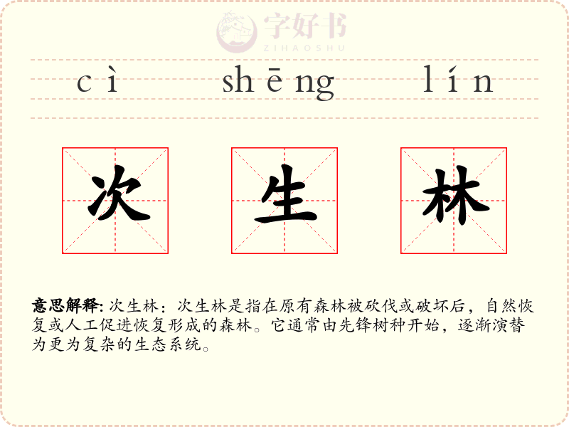 次生林