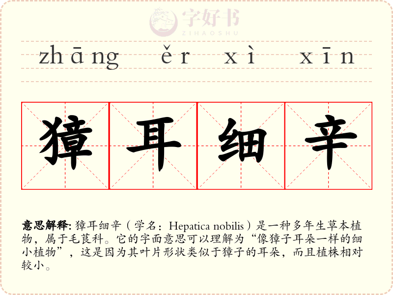 獐耳细辛