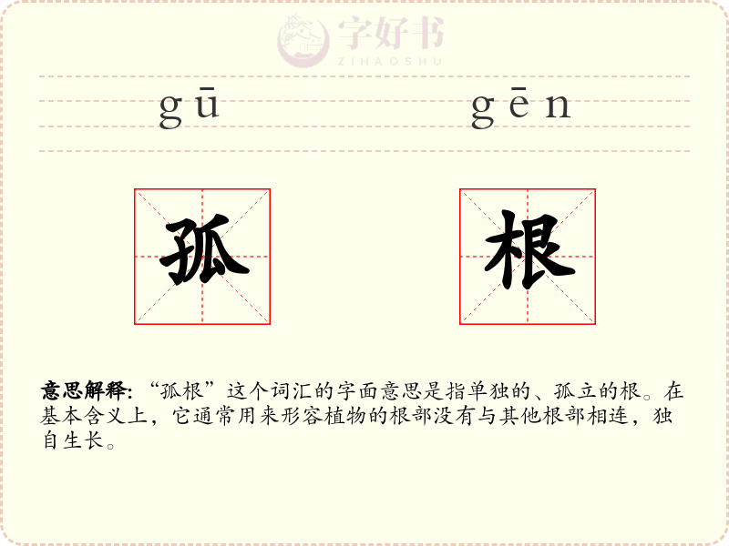 孤根