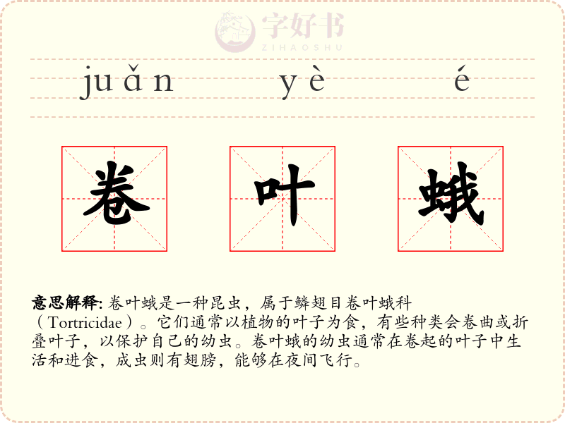 卷叶蛾