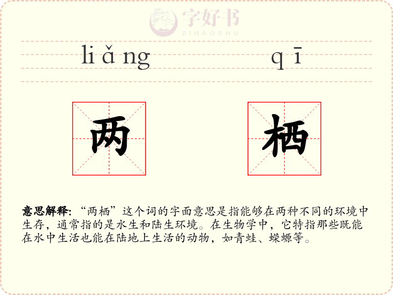 两栖