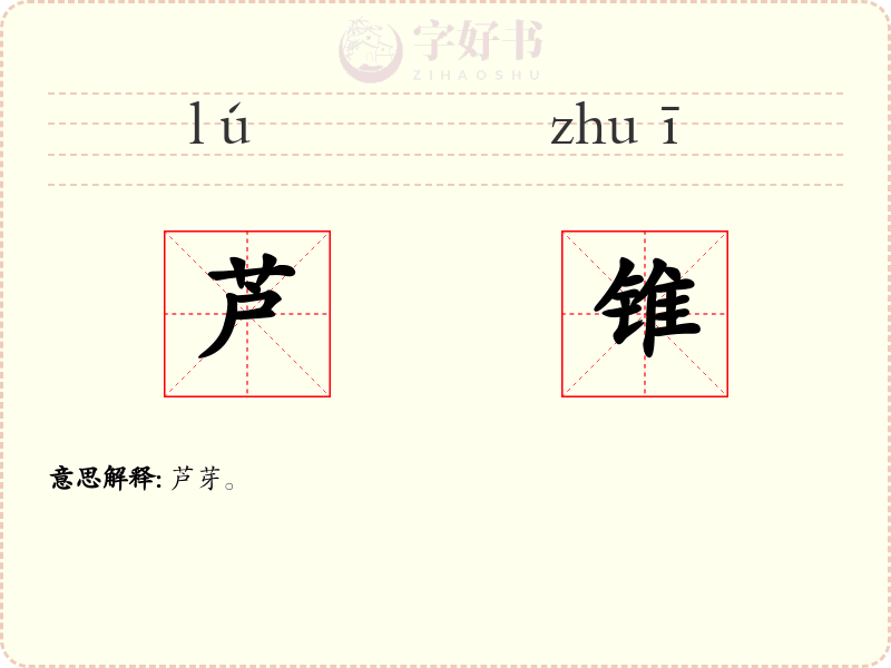 芦锥