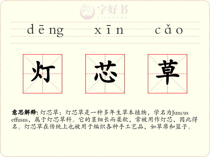 灯芯草