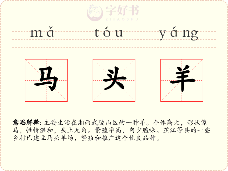 马头羊