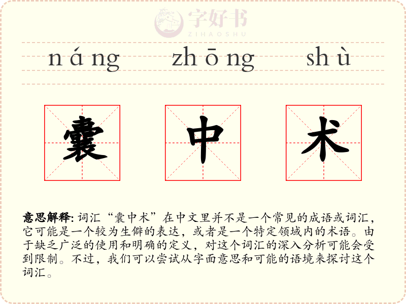 囊中术