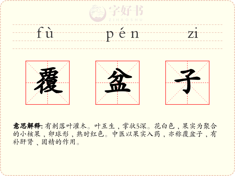 覆盆子