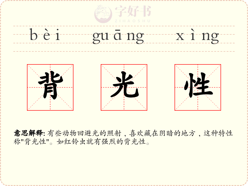 背光性