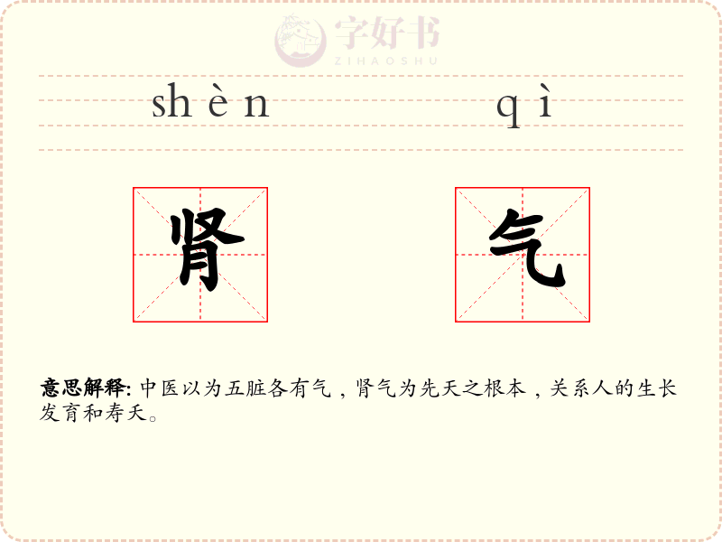 肾气
