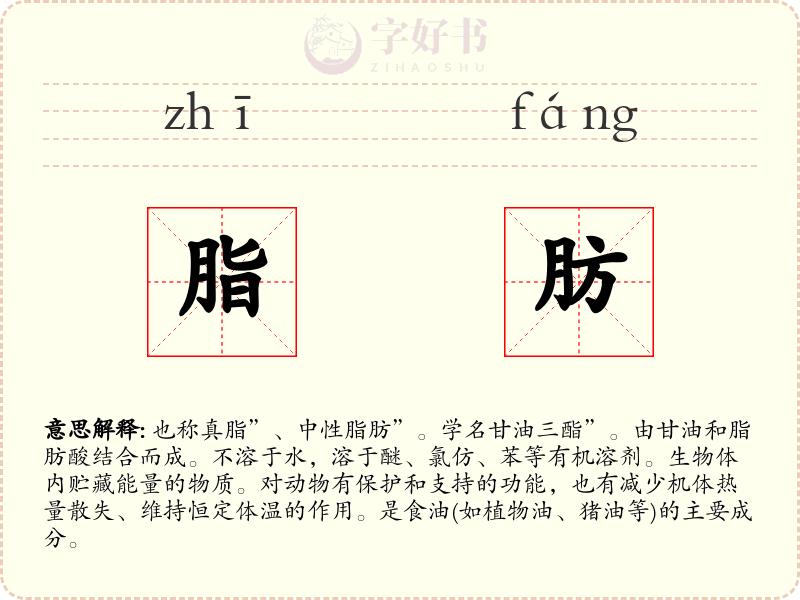 脂肪