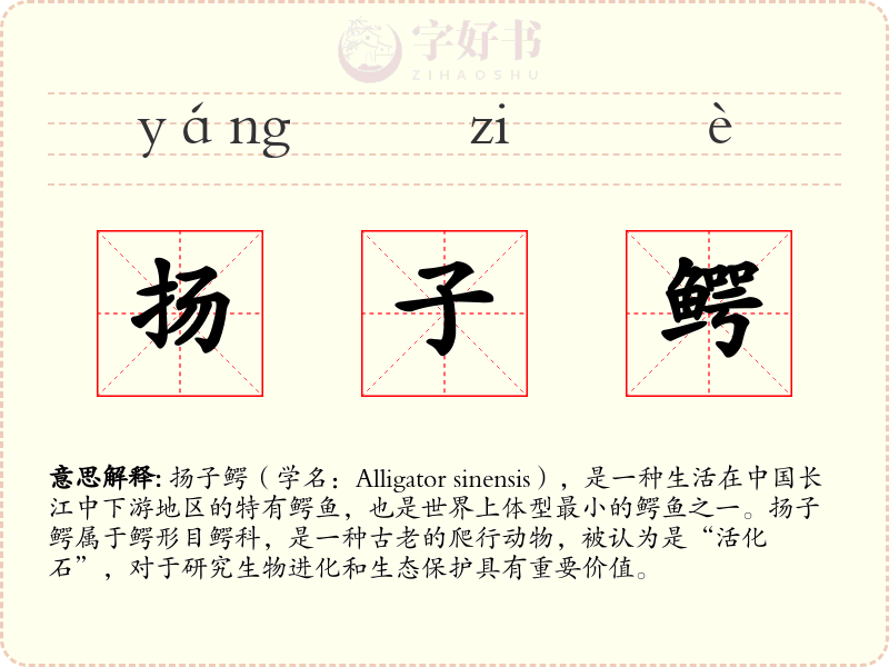扬子鳄