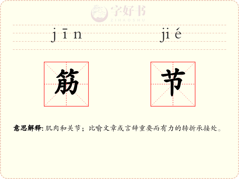 筋节