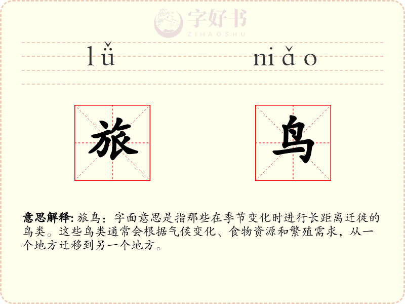 旅鸟