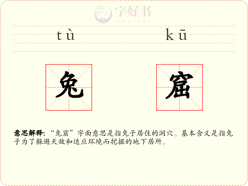 兔窟