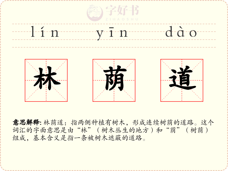 林荫道
