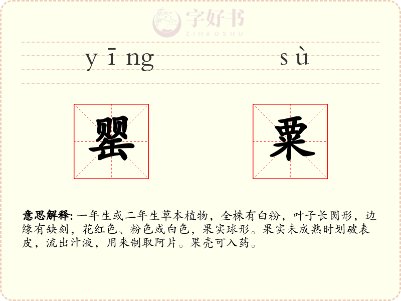 罂粟