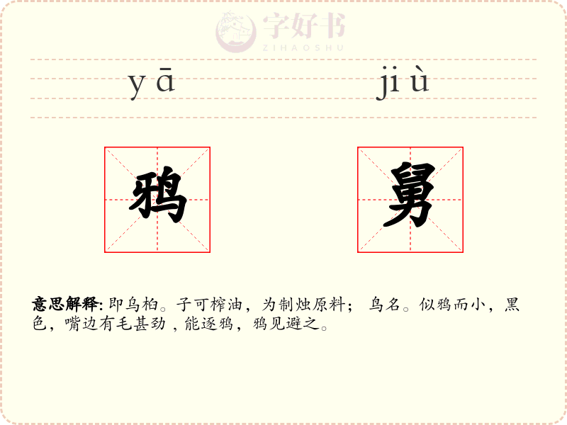 鸦舅