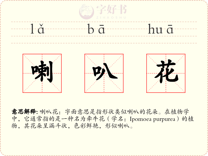 喇叭花