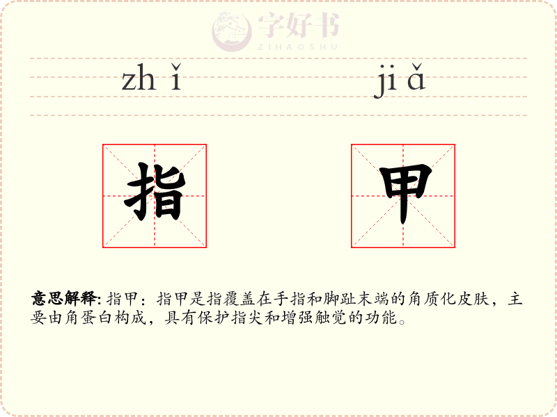 指甲