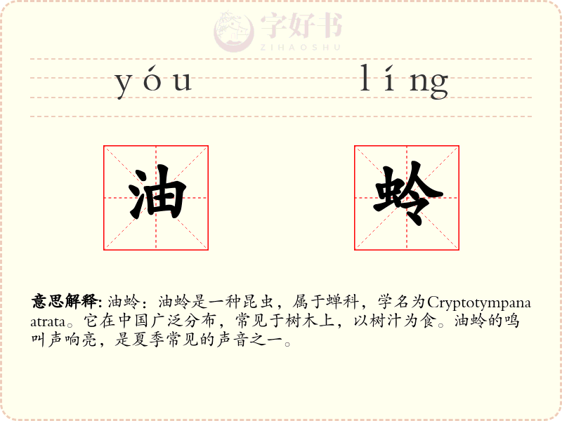 油蛉