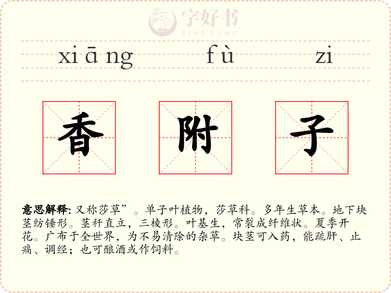 香附子