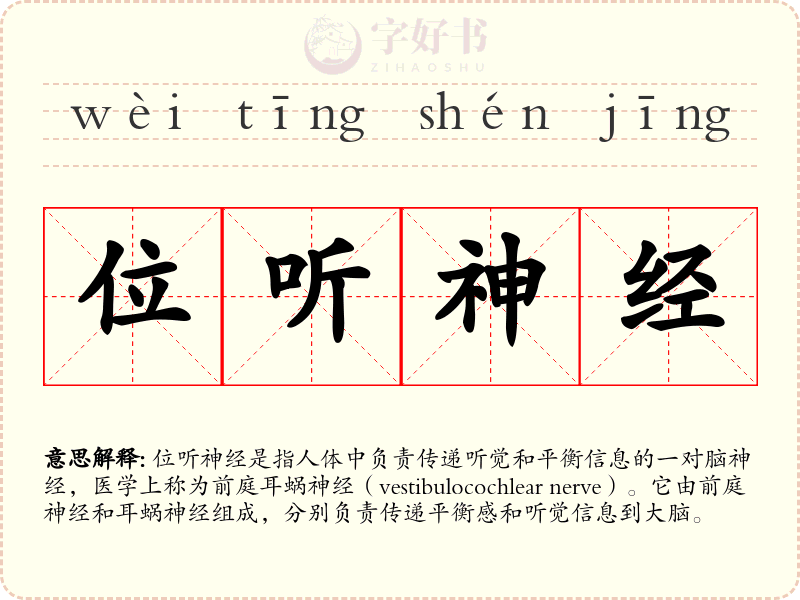 位听神经