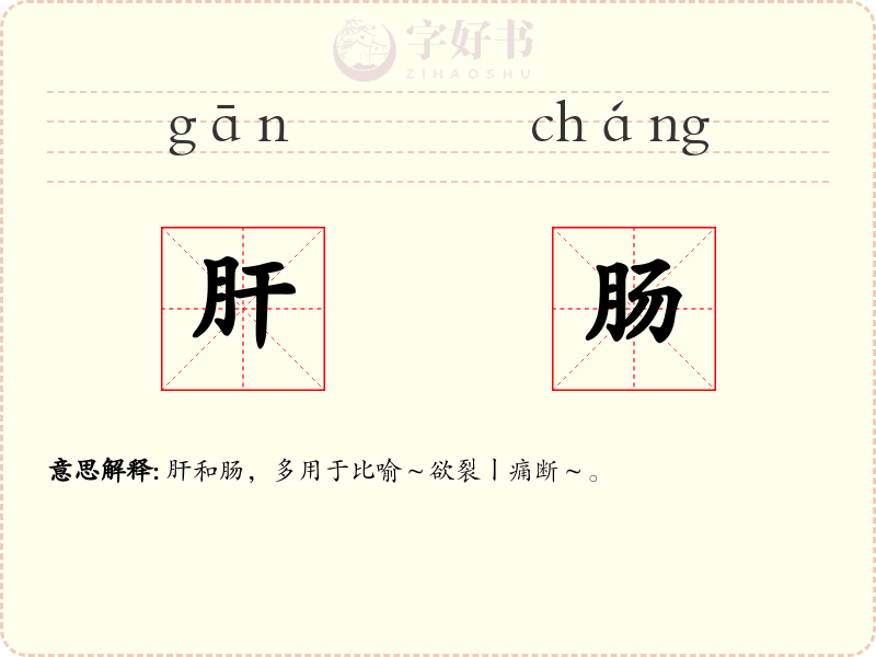 肝肠