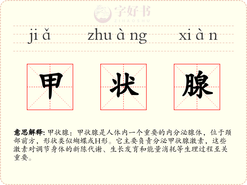 甲状腺