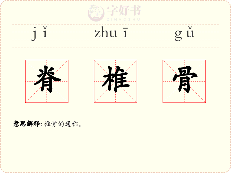 脊椎骨