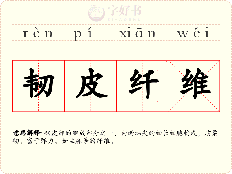 韧皮纤维