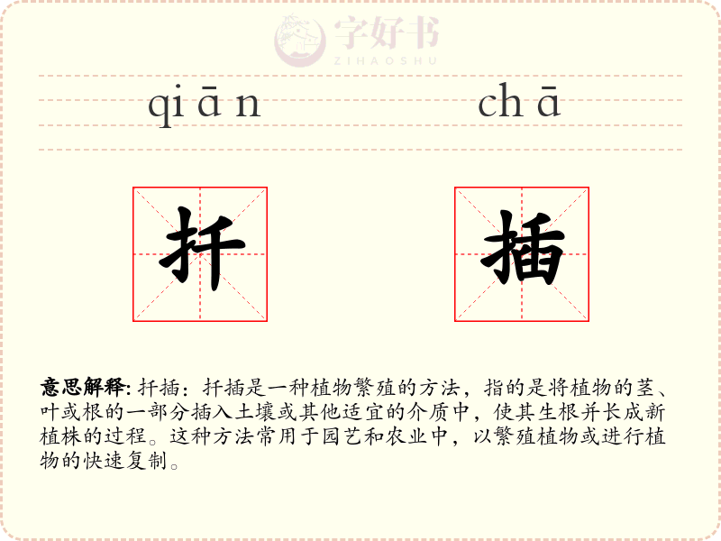 扦插