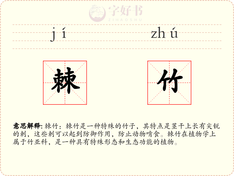 棘竹