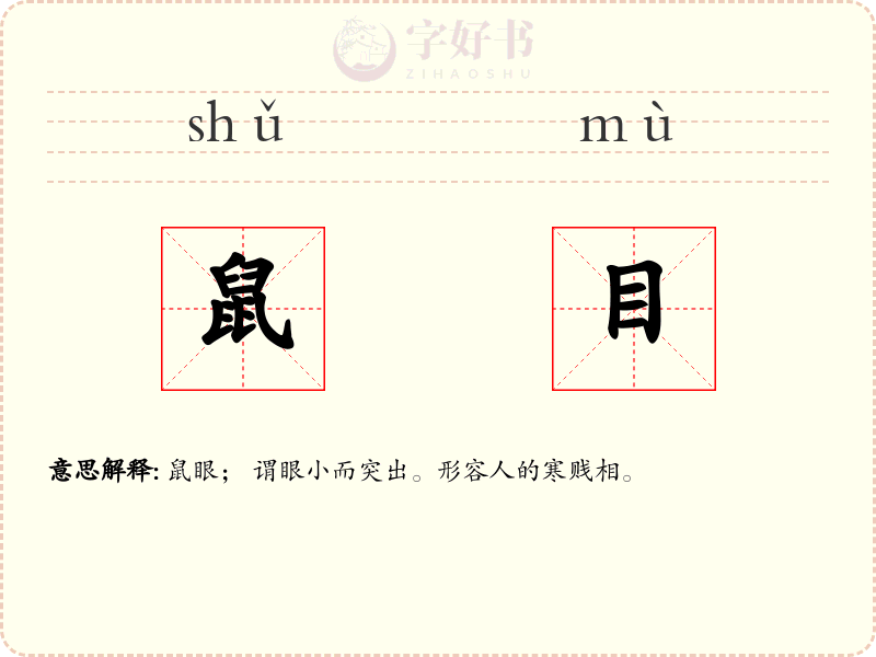 鼠目