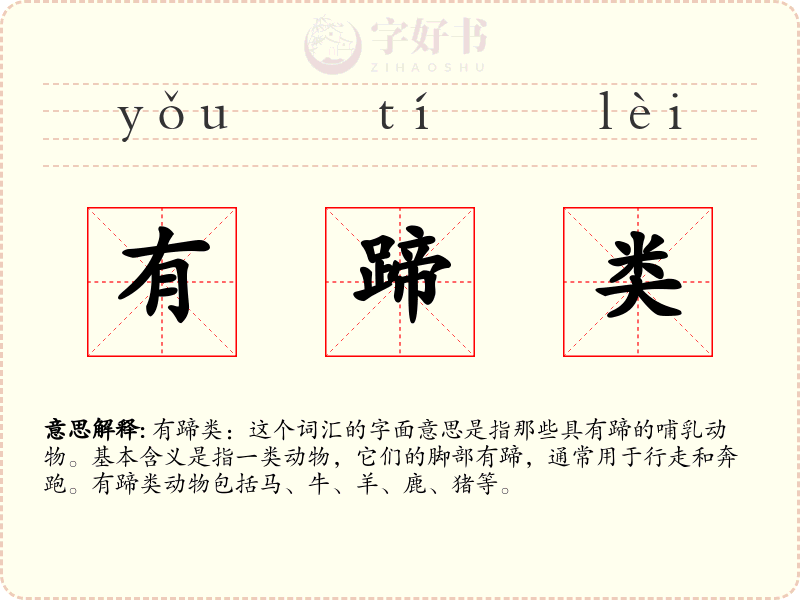 有蹄类