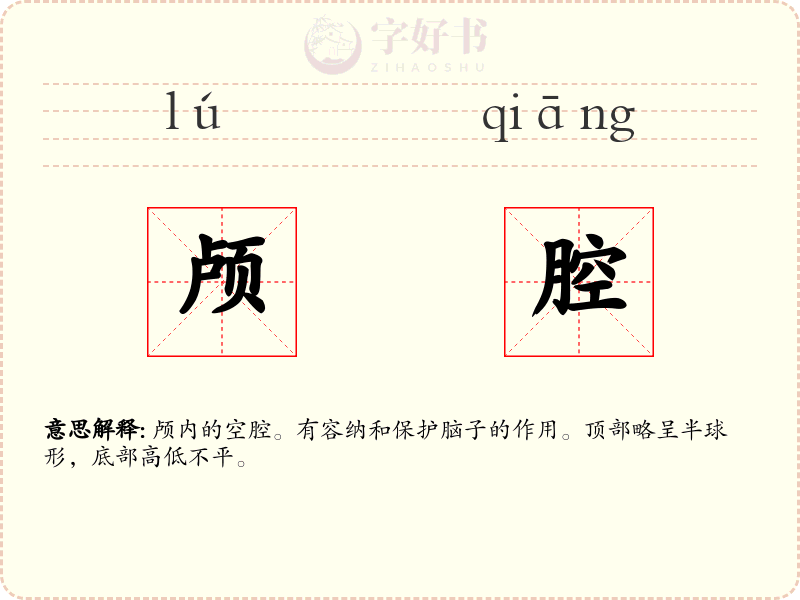 颅腔