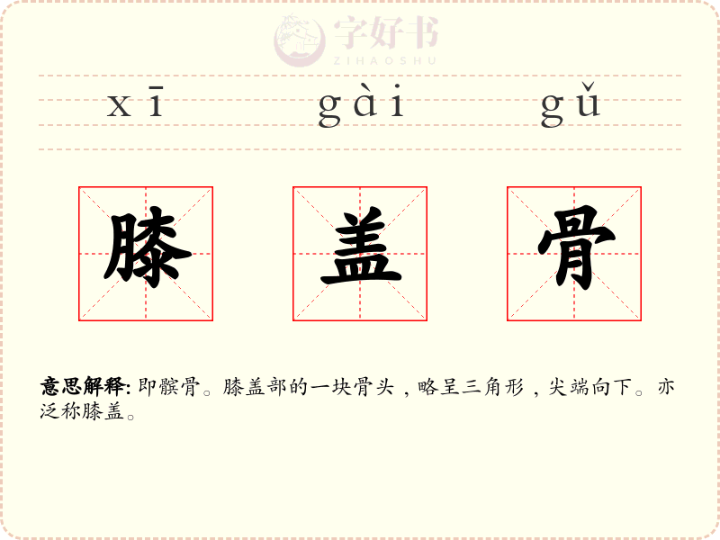 膝盖骨