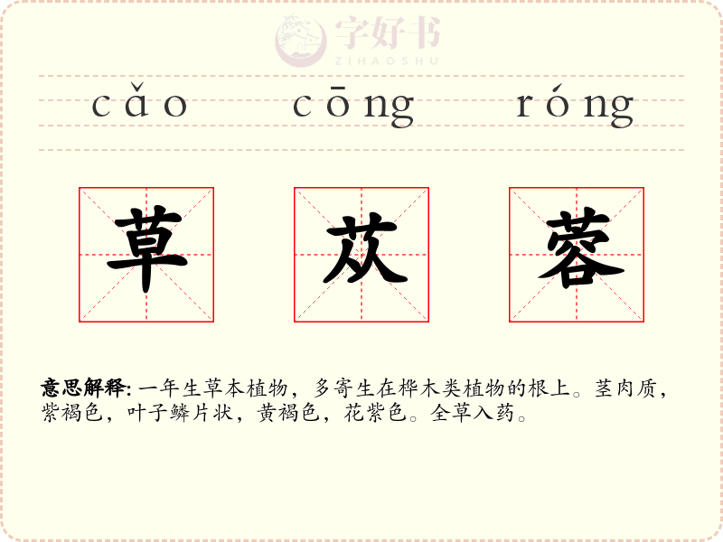 草苁蓉