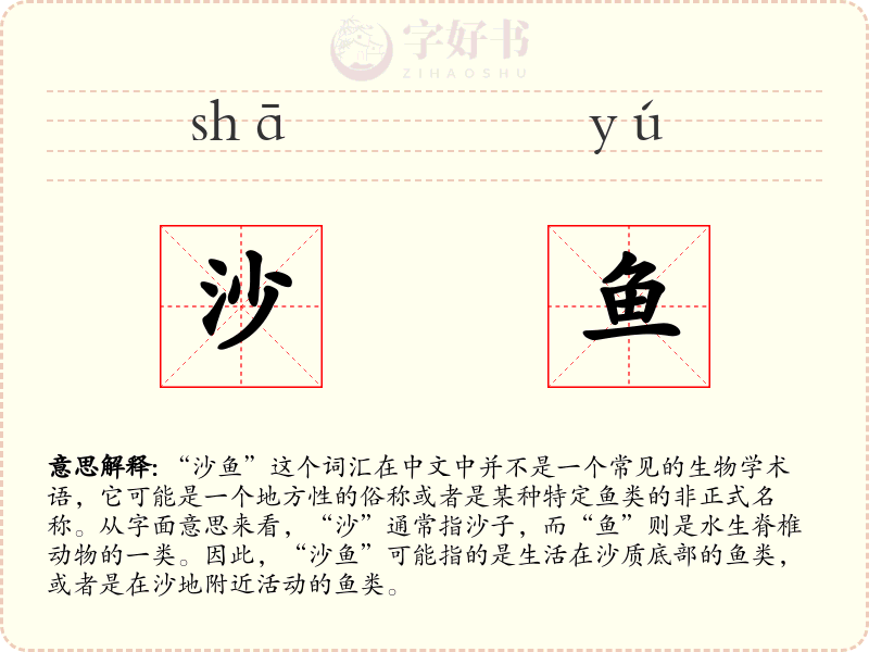 沙鱼
