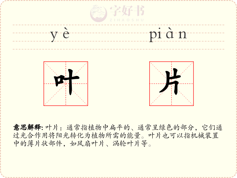 叶片