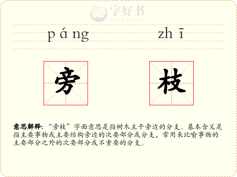 旁枝