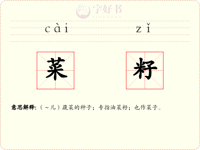 菜籽